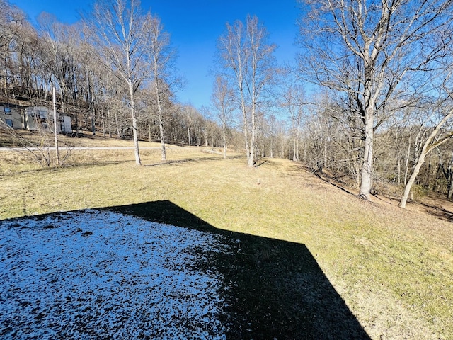 306 Turkey Creek Hwy, Carthage, TN 37030 - view of yard