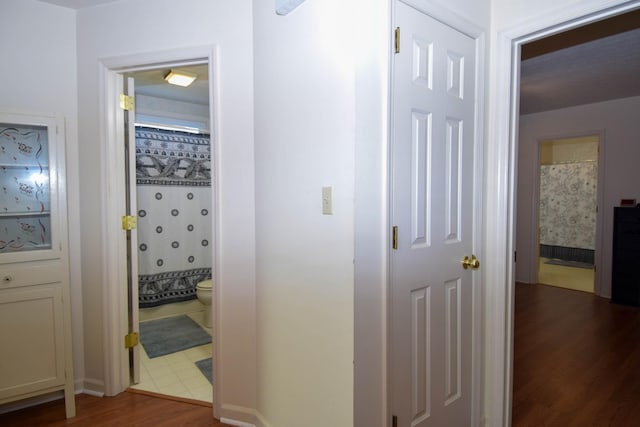 hallway featuring dark wood-type flooring