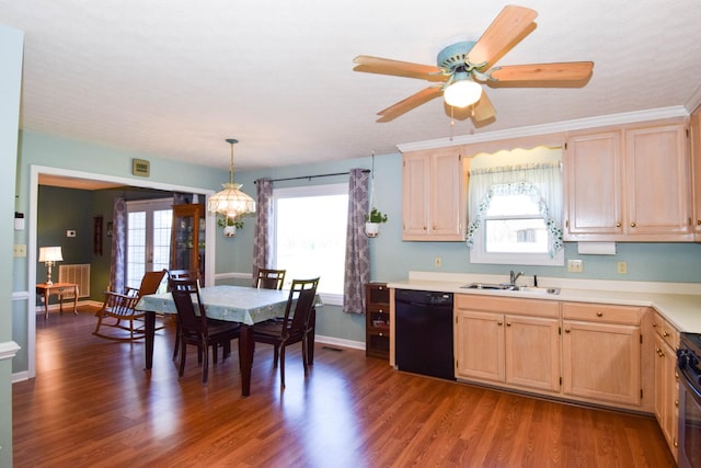 kitchen featuring sink, decorative light fixtures, black dishwasher, light brown cabinetry, and dark wood-type flooring