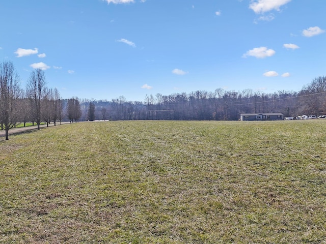 view of yard with a rural view