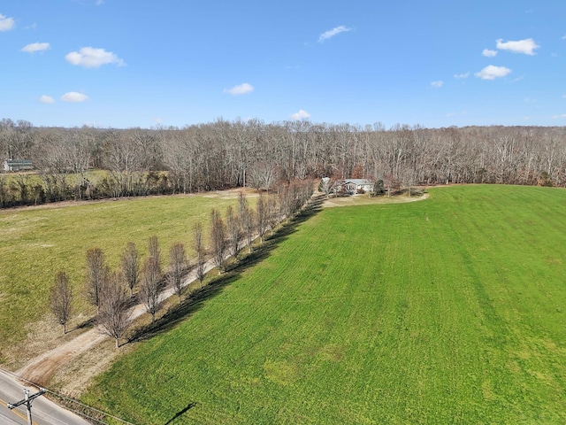 view of yard featuring a rural view