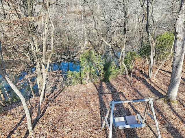 view of yard with a water view