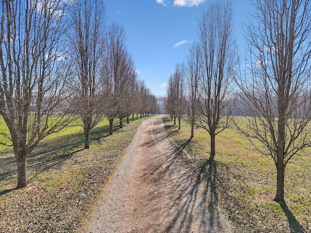 view of road with a rural view