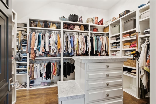 spacious closet featuring dark hardwood / wood-style floors