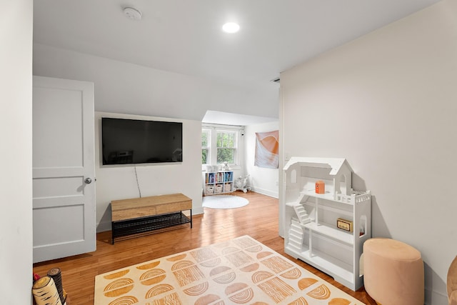 living room with hardwood / wood-style flooring