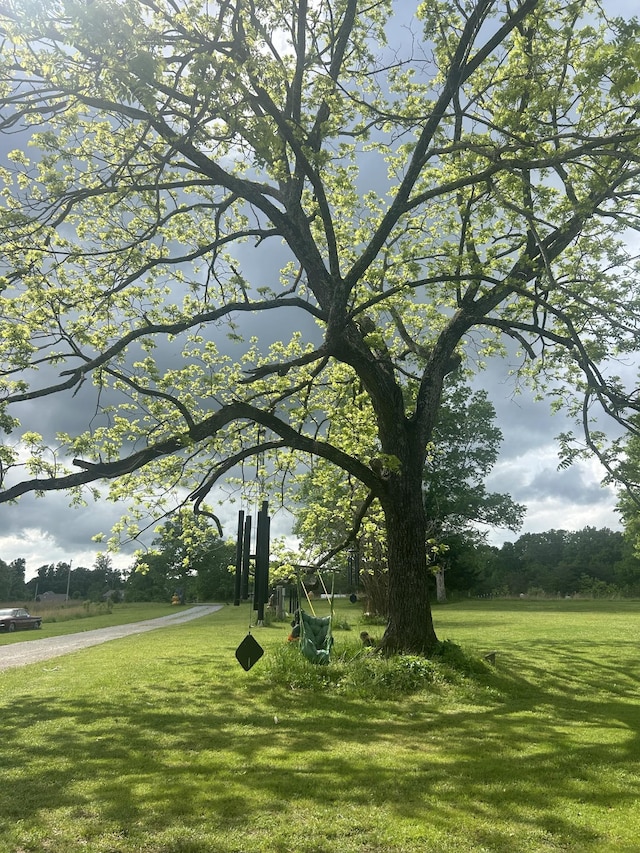 view of home's community featuring a lawn