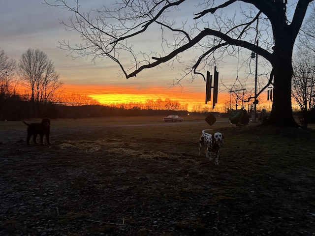 view of nature at dusk