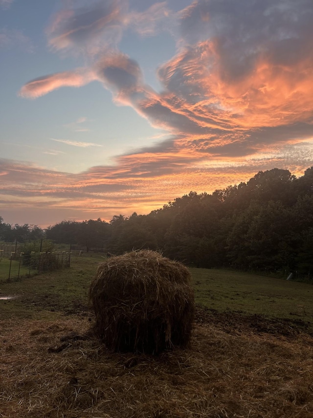 nature at dusk with a rural view