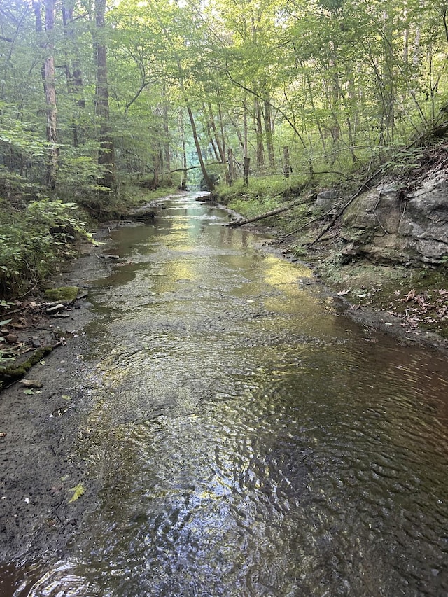 view of local wilderness