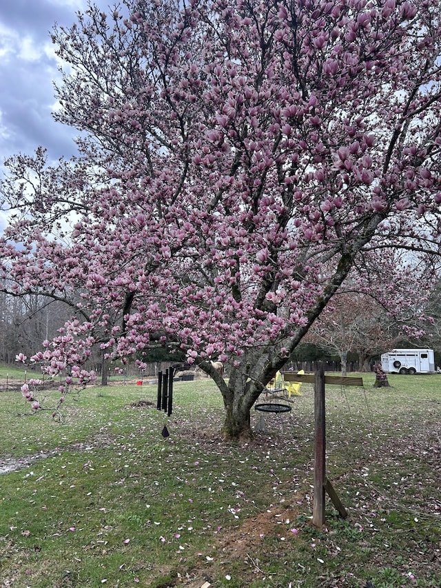 surrounding community with a lawn