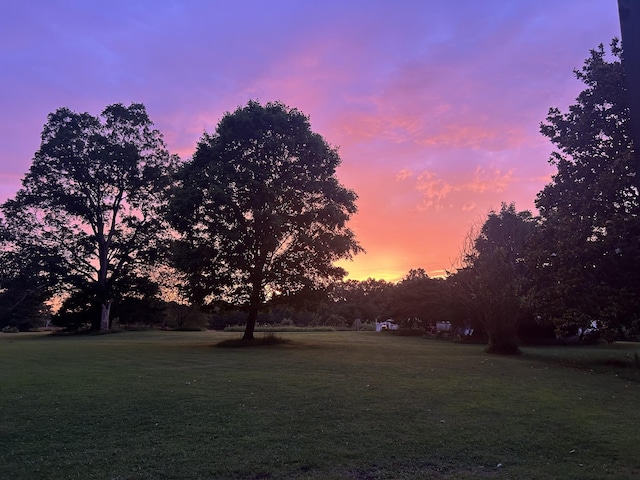 view of yard at dusk