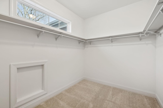 walk in closet featuring carpet flooring