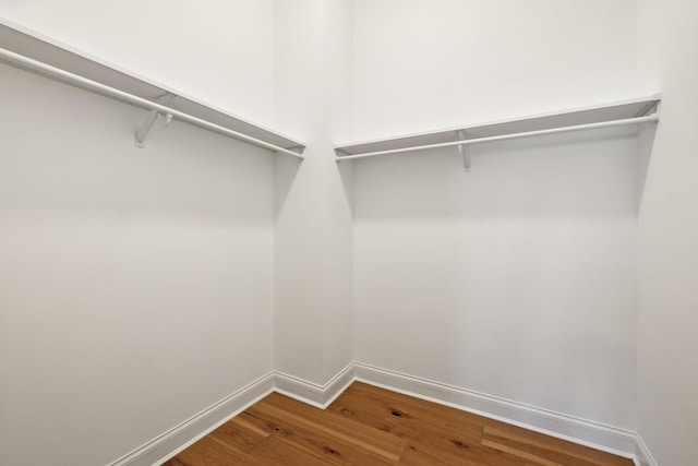 walk in closet featuring hardwood / wood-style flooring