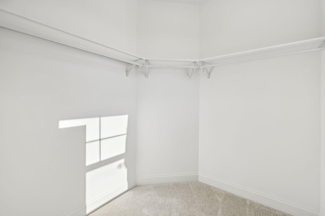 walk in closet with light colored carpet