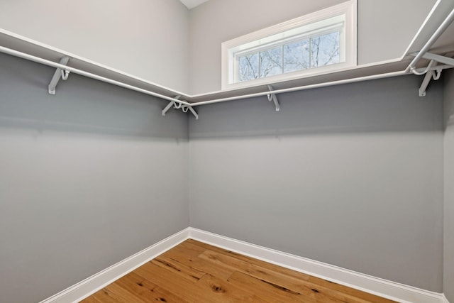 walk in closet with hardwood / wood-style flooring