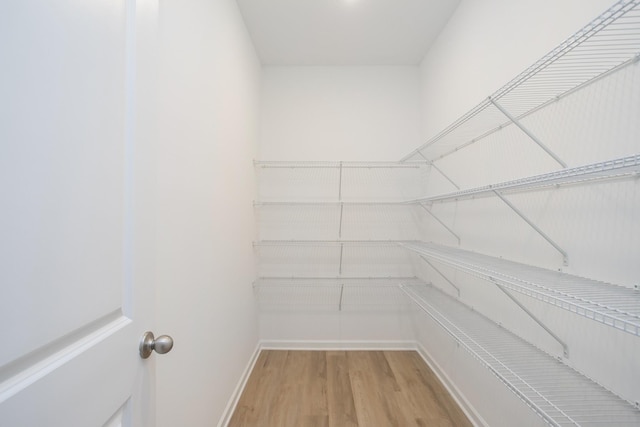 walk in closet featuring wood-type flooring