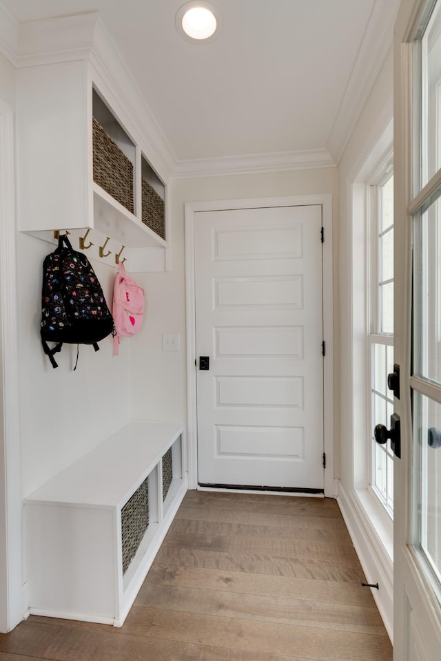 mudroom featuring light wood-type flooring, ornamental molding, and plenty of natural light