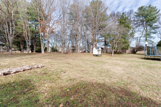 view of yard featuring a storage shed and a trampoline