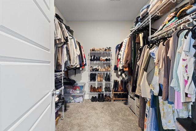 spacious closet with carpet floors