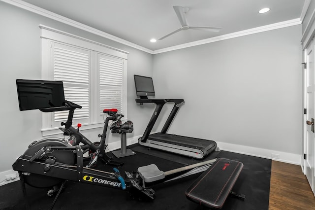 workout area featuring ceiling fan, dark hardwood / wood-style flooring, and crown molding