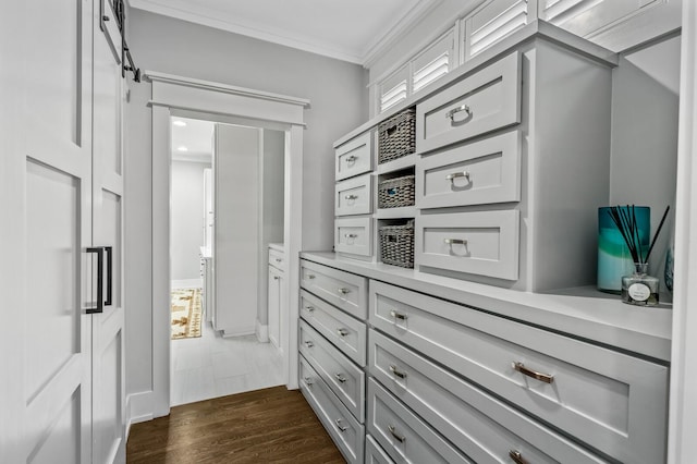 spacious closet with a barn door and dark wood-type flooring