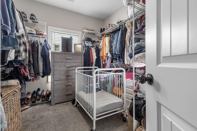 spacious closet featuring carpet