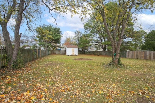 view of yard featuring a storage shed