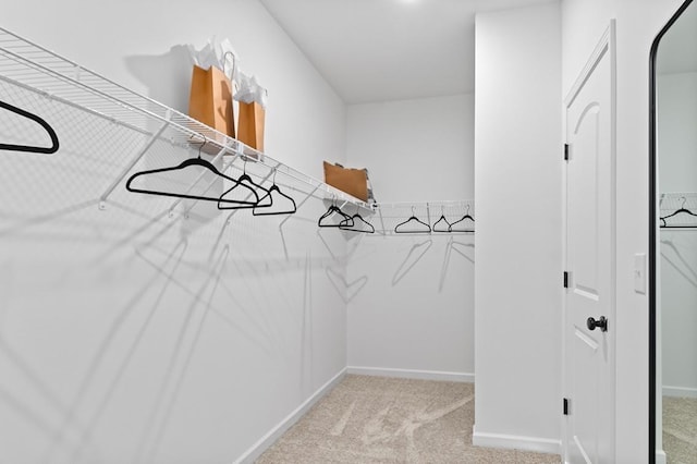 spacious closet with light carpet