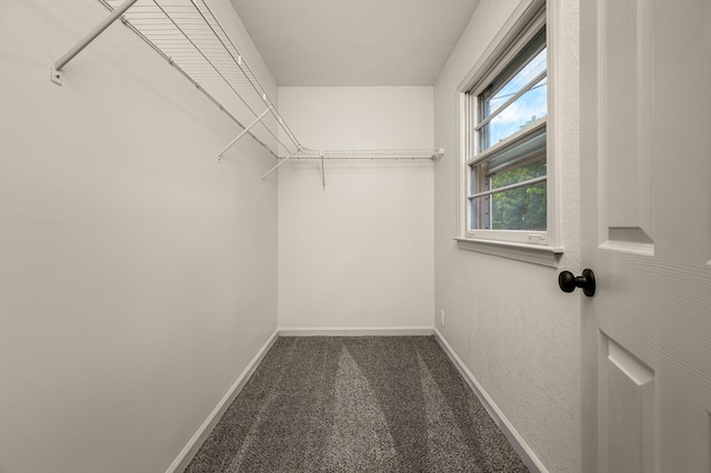 walk in closet featuring dark colored carpet