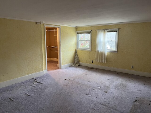 spare room with crown molding and carpet flooring