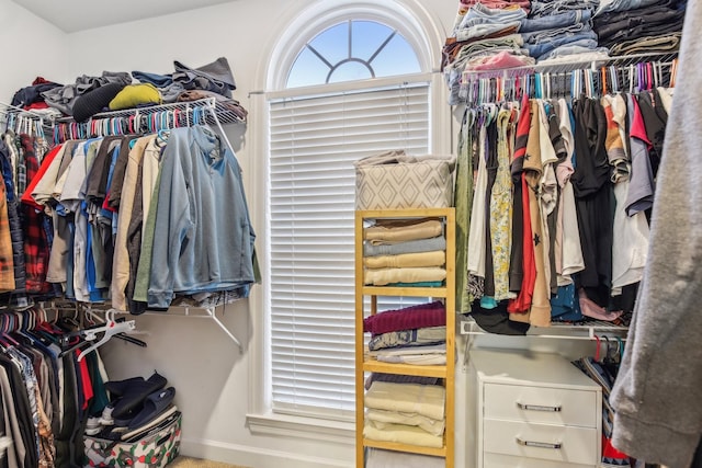 view of spacious closet