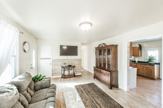 living room with light hardwood / wood-style flooring