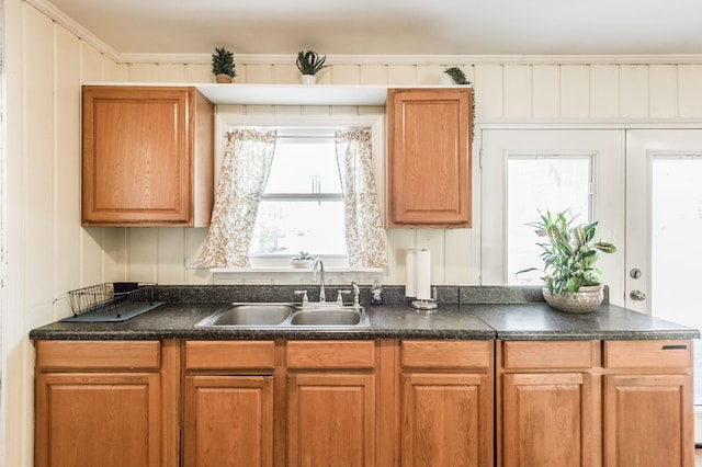 kitchen with sink, wooden walls, and ornamental molding