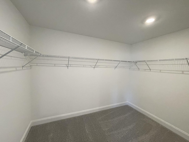 spacious closet featuring carpet flooring