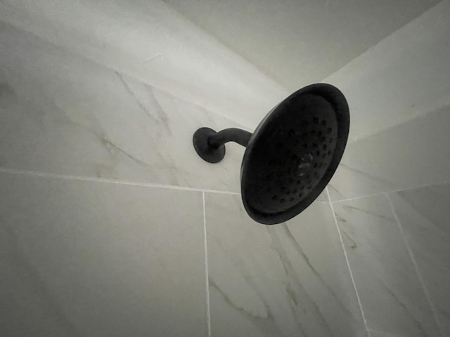 details featuring walk in shower