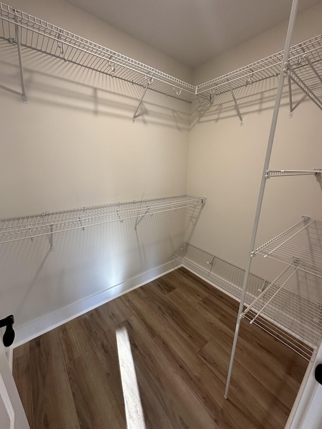 walk in closet with dark hardwood / wood-style flooring