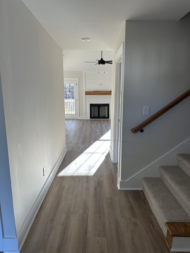 hallway with dark wood-type flooring