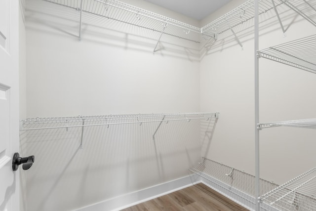 walk in closet with wood-type flooring