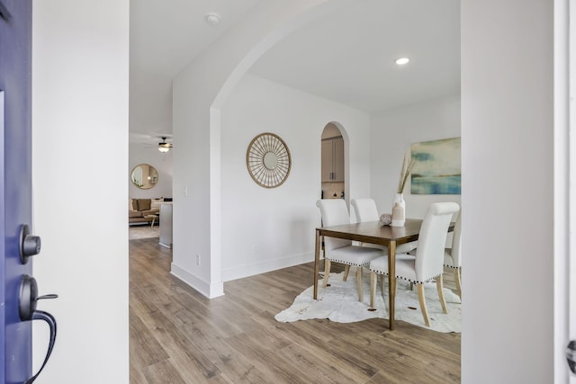 dining space with ceiling fan and light hardwood / wood-style flooring