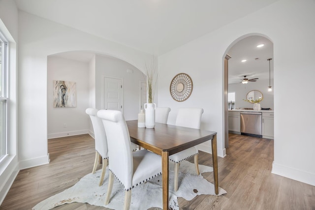 dining room with ceiling fan and light wood-type flooring