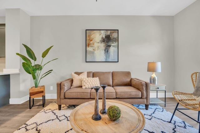 living room featuring light hardwood / wood-style floors