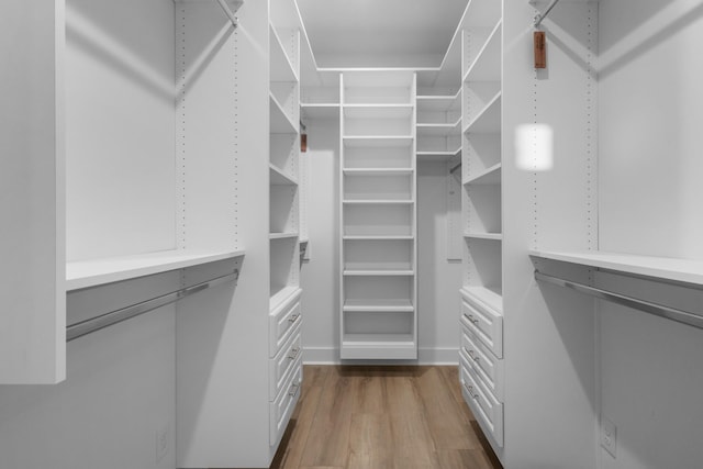 spacious closet featuring wood-type flooring