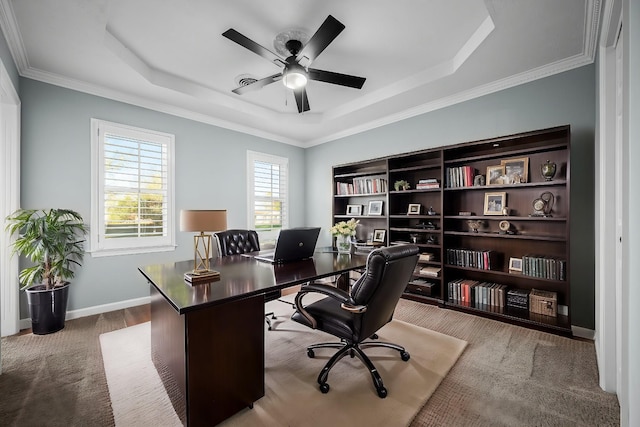 office with carpet, ceiling fan, a tray ceiling, and ornamental molding