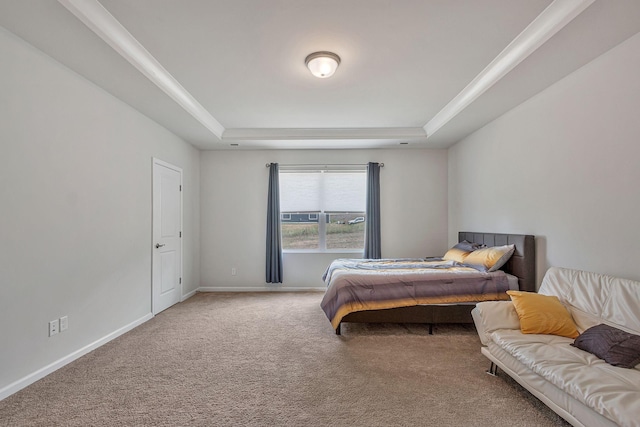 carpeted bedroom featuring a raised ceiling