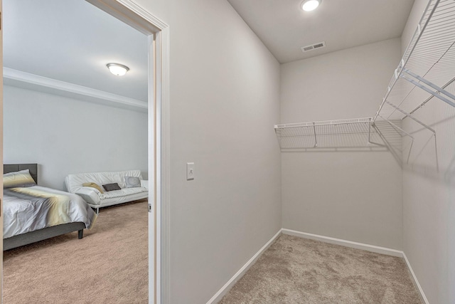 spacious closet with light carpet