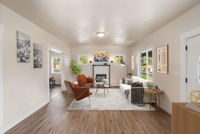 living room with a fireplace, wood-type flooring, and plenty of natural light