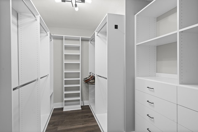 walk in closet with dark hardwood / wood-style floors