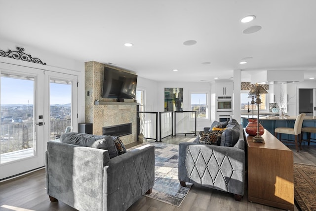 living room with dark hardwood / wood-style floors, french doors, and a fireplace