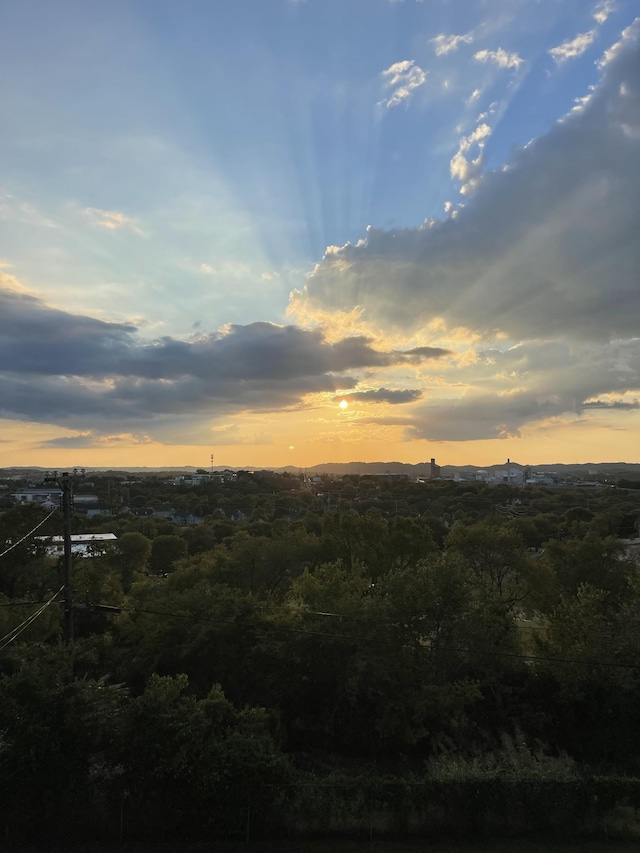 view of nature at dusk