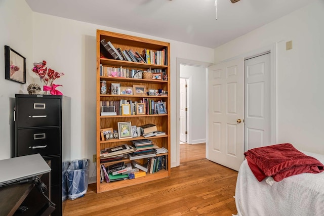 bedroom with light hardwood / wood-style floors